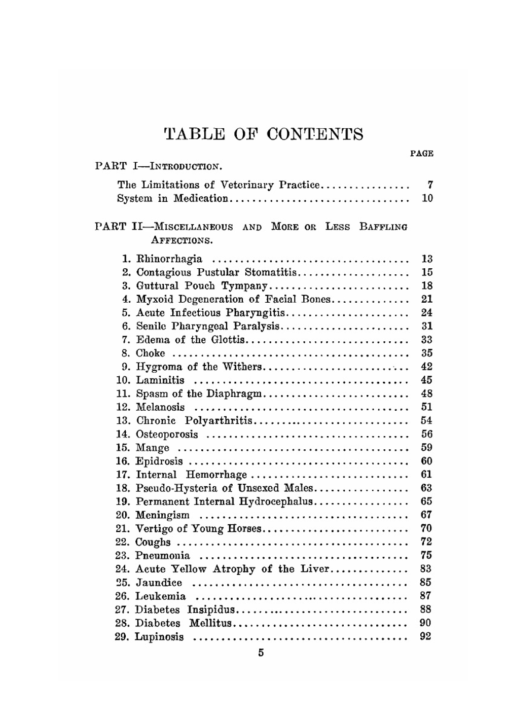 Special equine therapy | Martin Robert Steffen