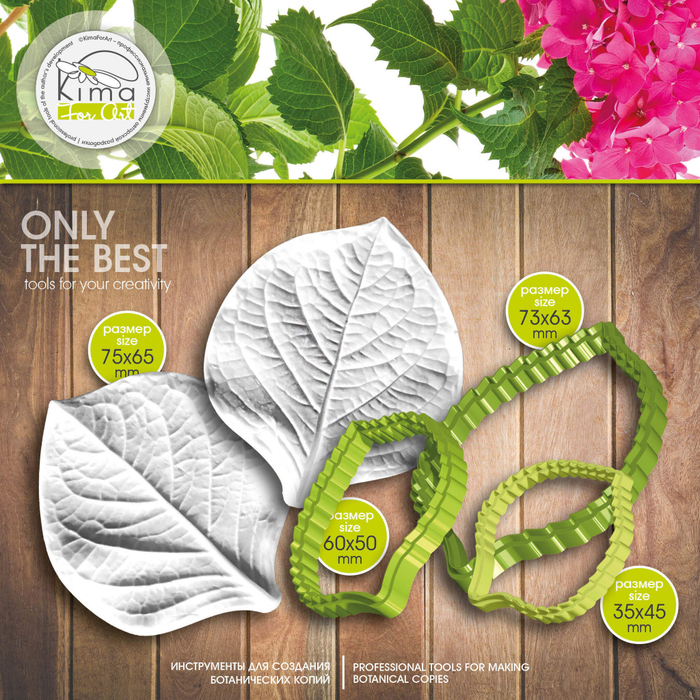 Гортензия Dolche лист большой