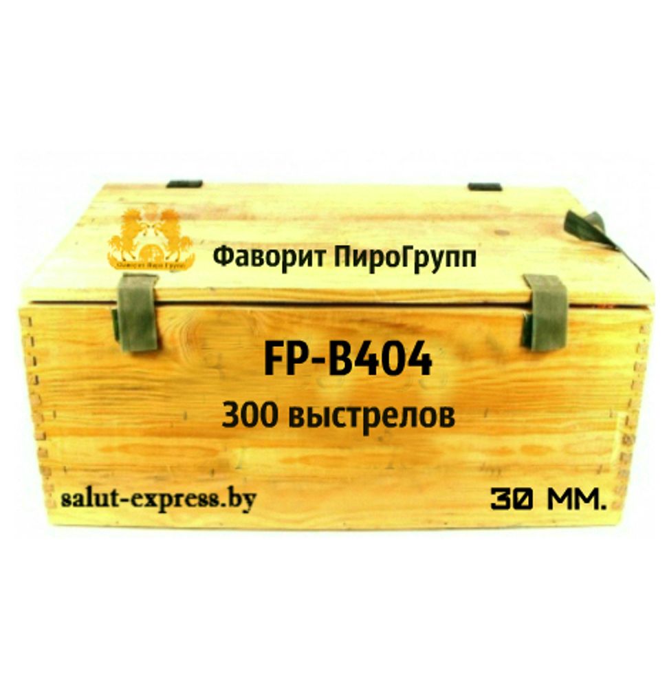 FP-B404