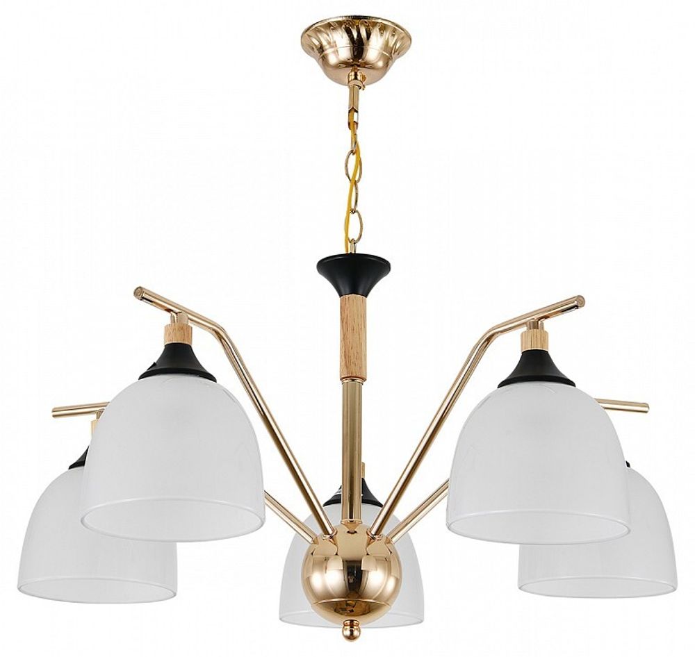 Подвесная люстра Escada Actinidia 2123/5P