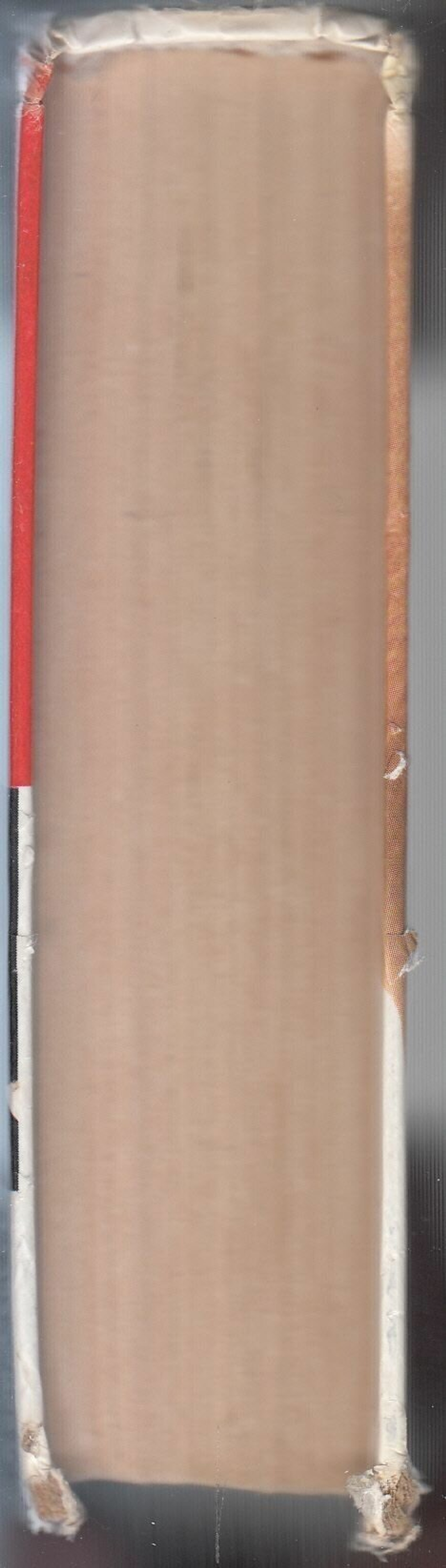 The Телки. Повесть о ненастоящей любви