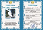 Диплом подарочный "Хорошего человека" ламинация A6