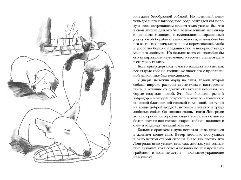 Невероятное путешествие