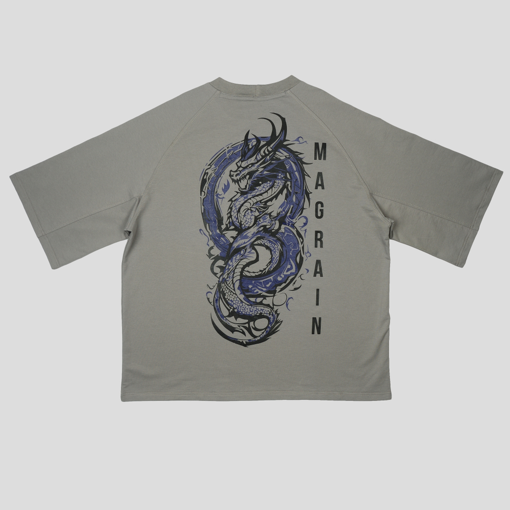 Футболка Реглан DRAGON