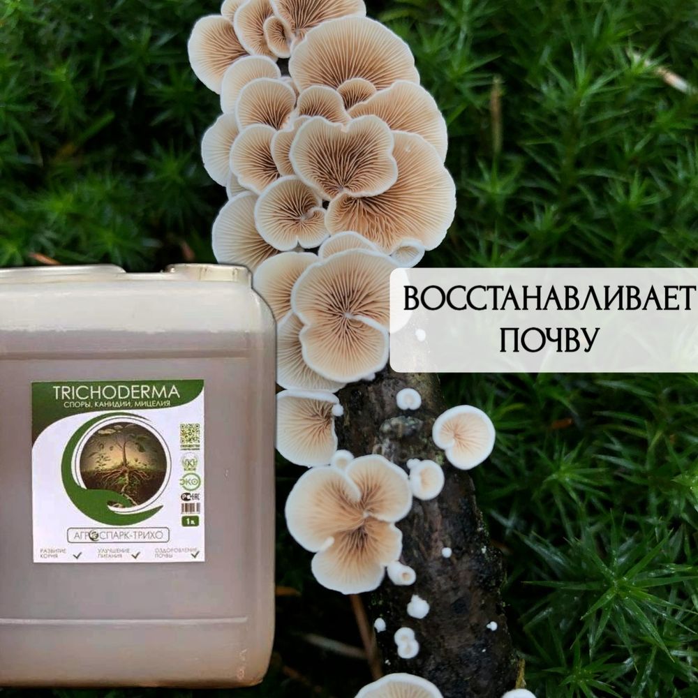 АГРОСПАРК-Трихо 5л гриб Trichoderma harzianum