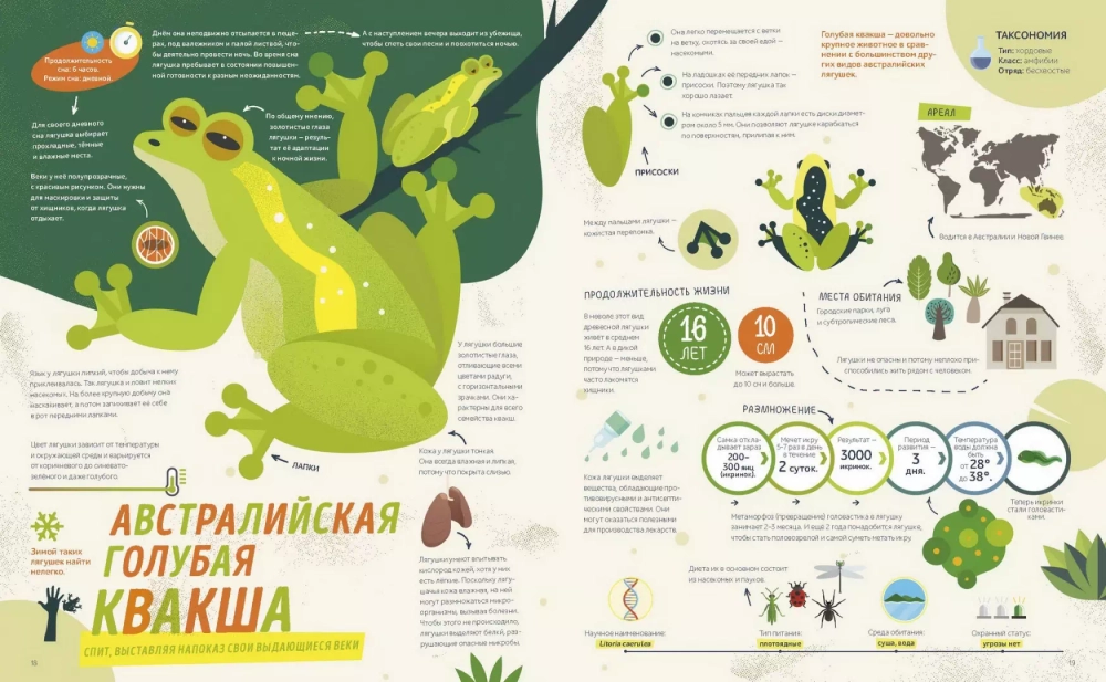 Как спит пчела? Удивительные факты о животных и их суперспособностях