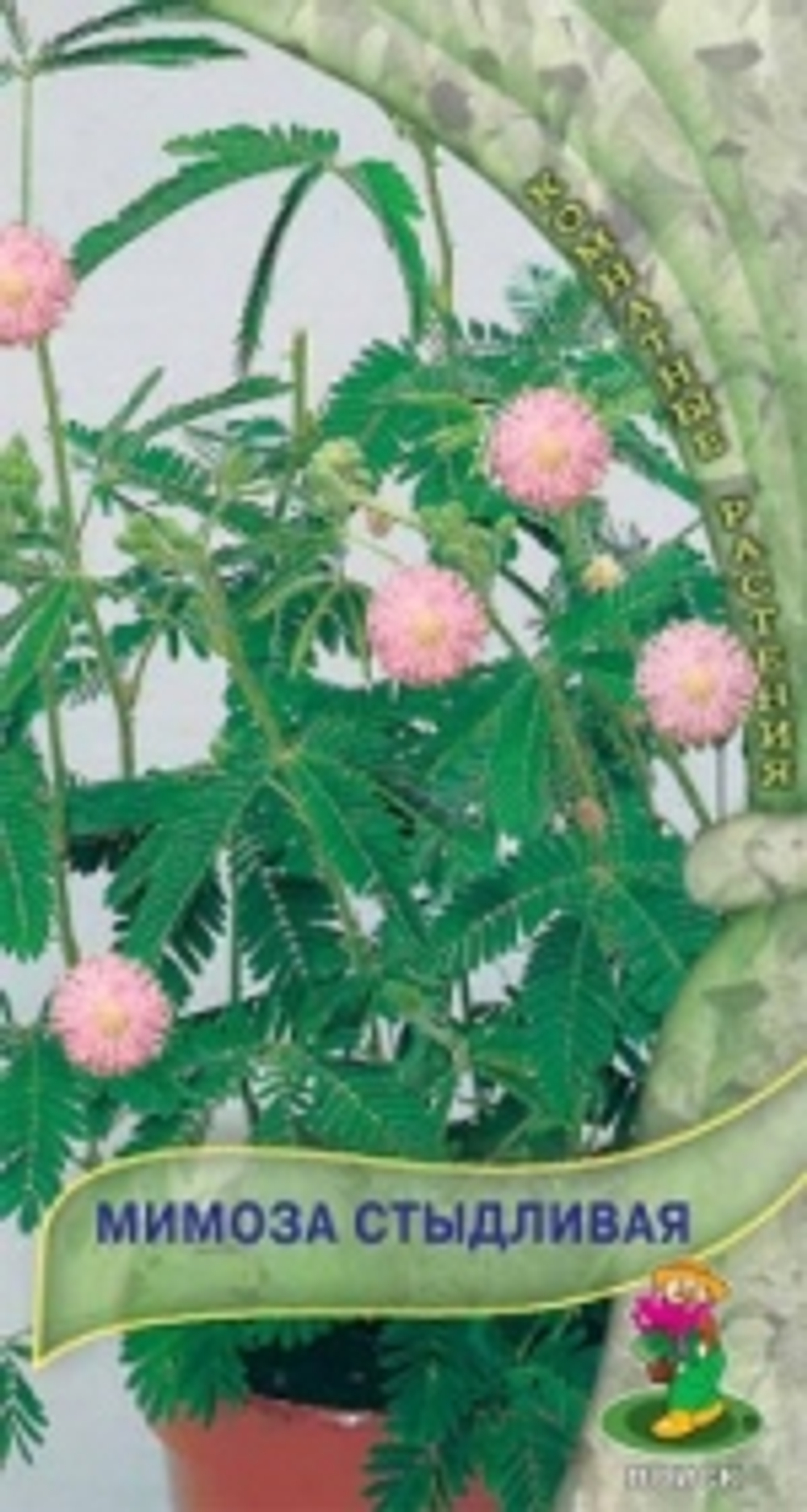 Мимоза Стыдливая 0,3гр Поиск