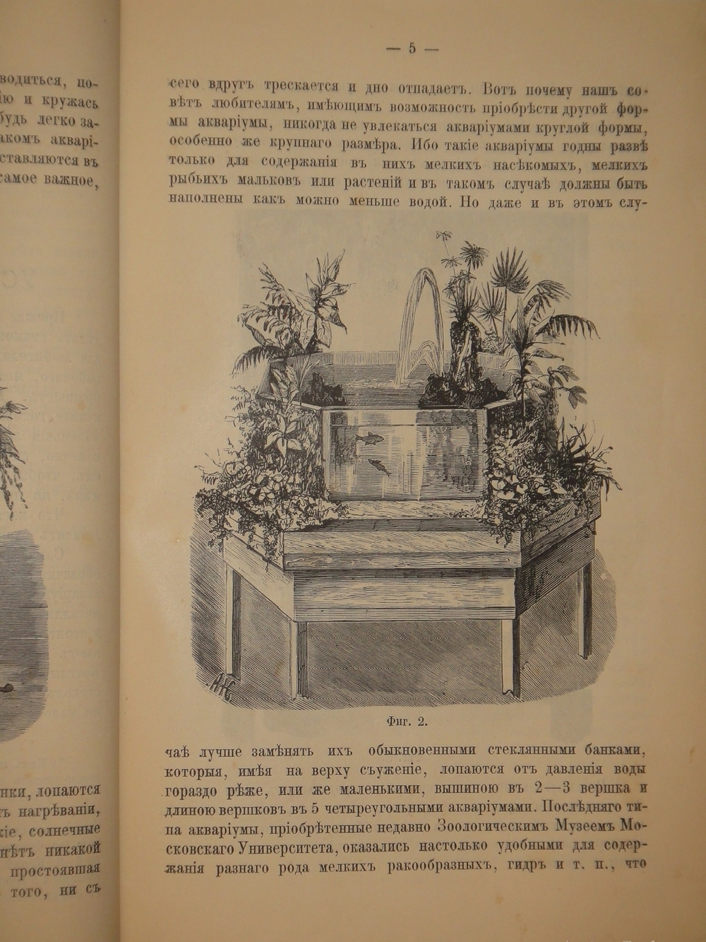 "Аквариум любителя. Подробное описание флоры и фауны аквариума, устройство аквариума, уход за ним и пр.". Н.Ф.Золотницкий. 1890г.