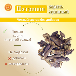 Патриния безразличка корень.