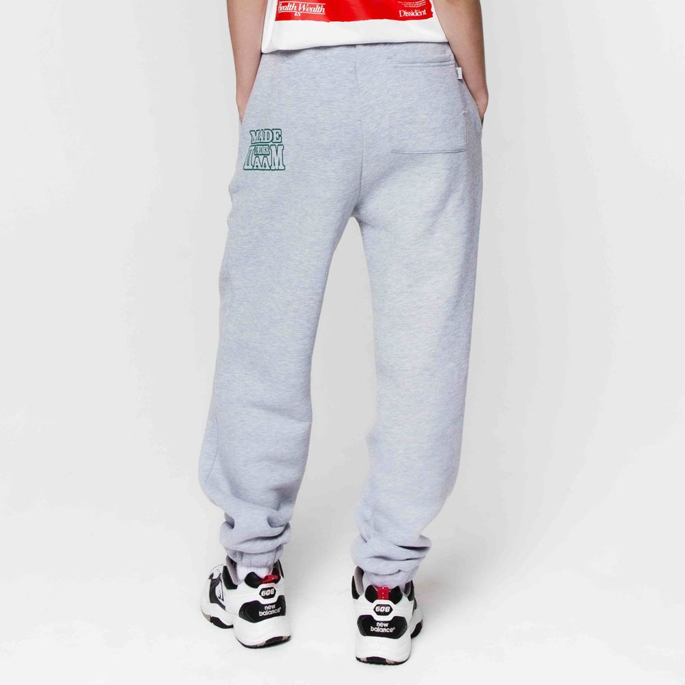 Спортивные штаны Dissident Sportive Goods серые