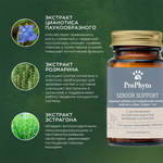 ProPhyto Сеньор Саппорт, 100 таблеток
