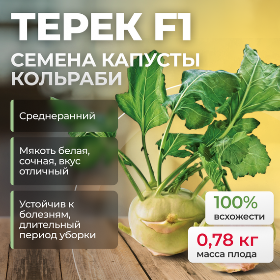 ТЕРЕК F1 семена капусты кольраби (Rijk Zwaan) культура