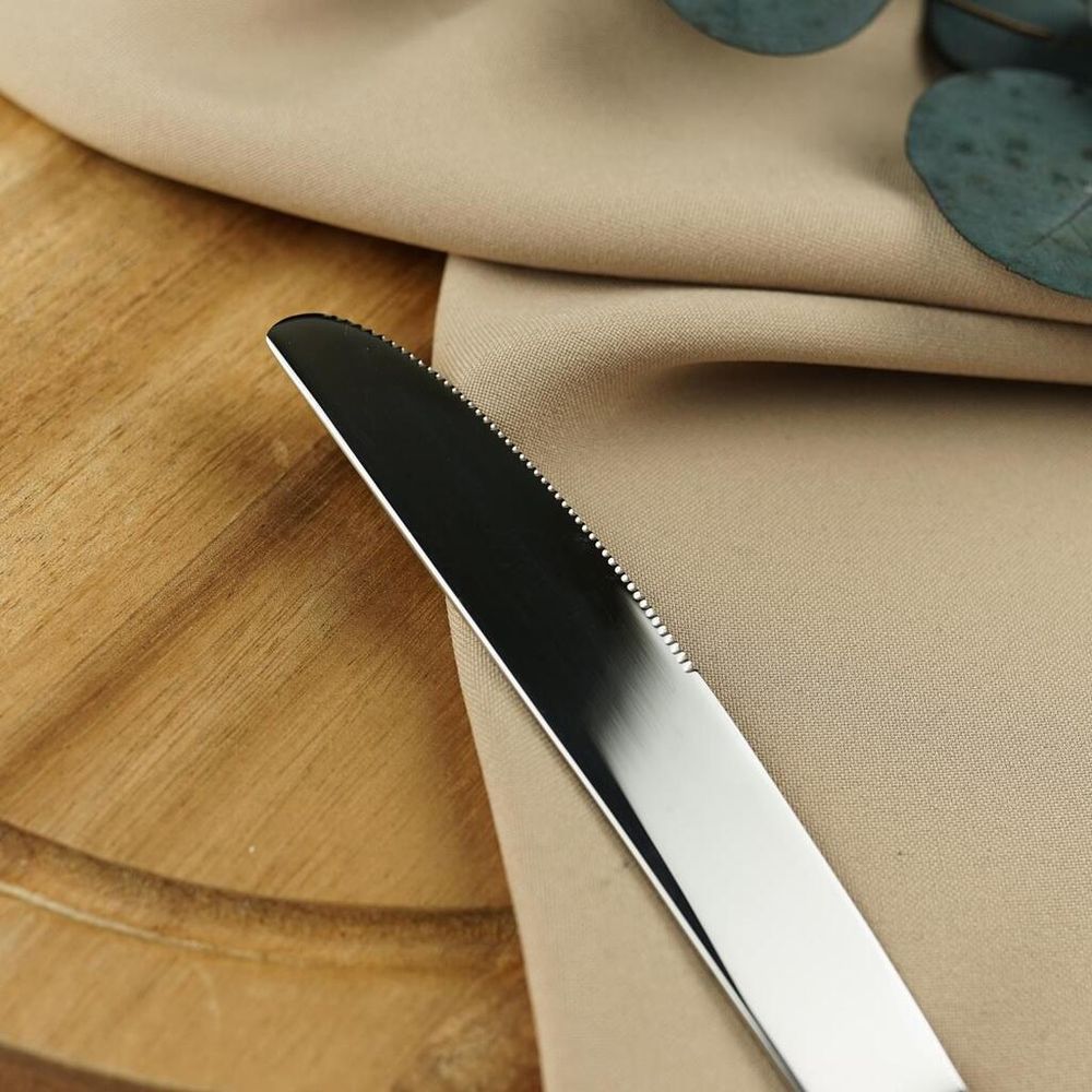 Нож столовый 24,5 см   P.L. - Davinci [12]