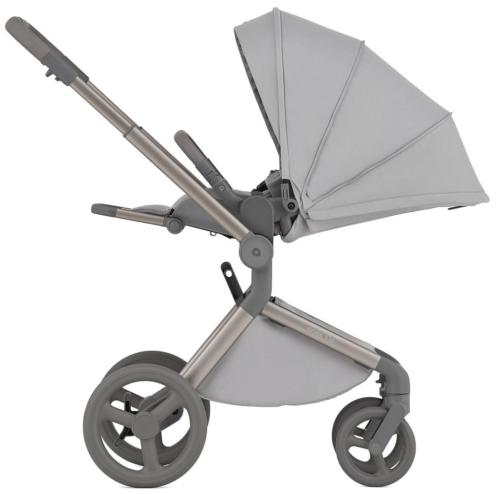 Детская коляска Anex Flo 2 в 1 Frossy