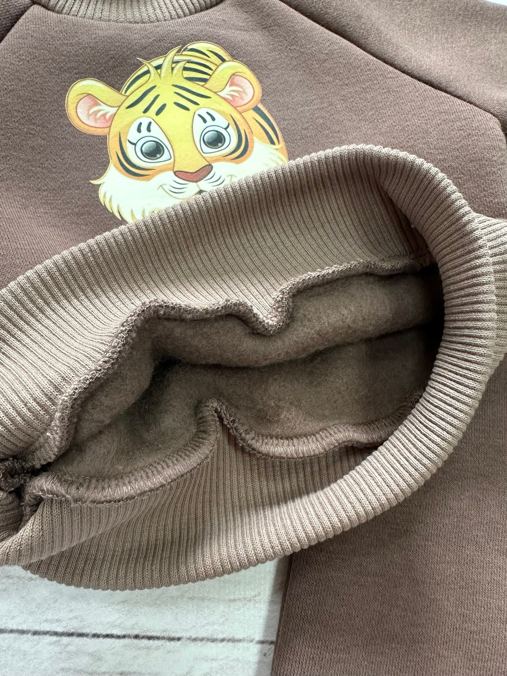 Костюм (джемпер, штанишки)