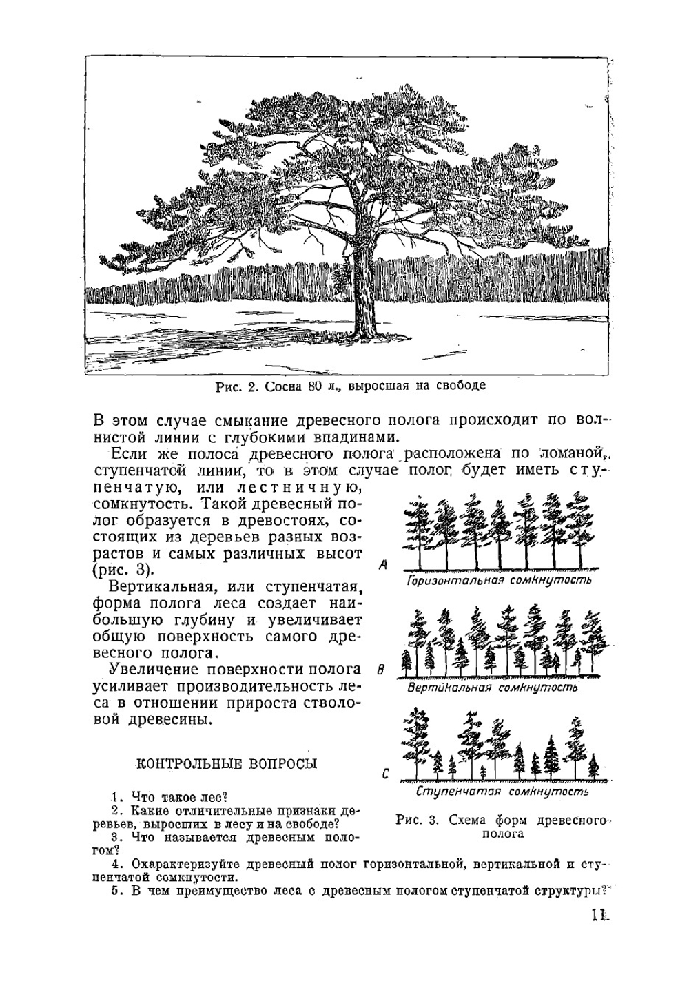 Лесоводство. Утверждено ГУУЗ Наркомлеса СССР в качестве учебника для лесных техникумов | Колпиков Михаил Васильевич