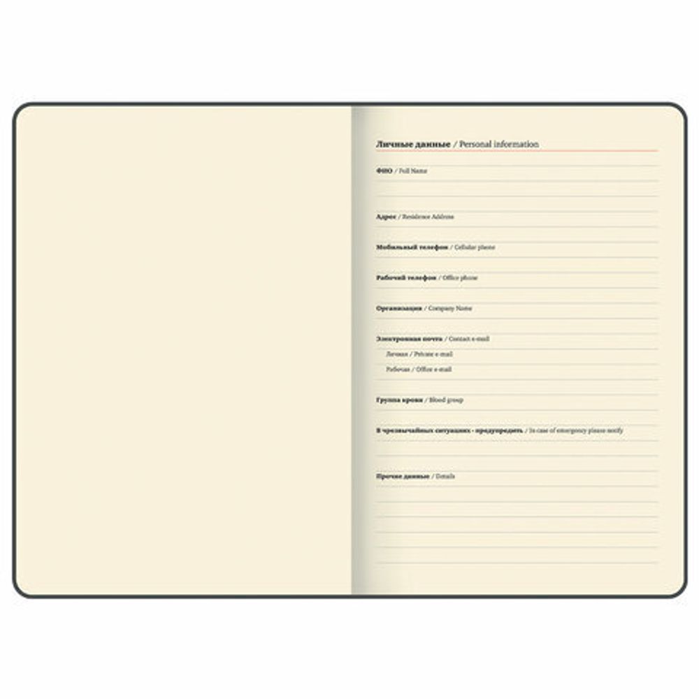 Еженедельник Brauberg "Comodo" датированный 210х297 мм А4 (115942) 4