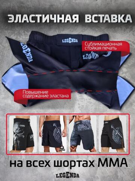 Шорты спортивные тренировочные LEGENDA Щит и Меч синий