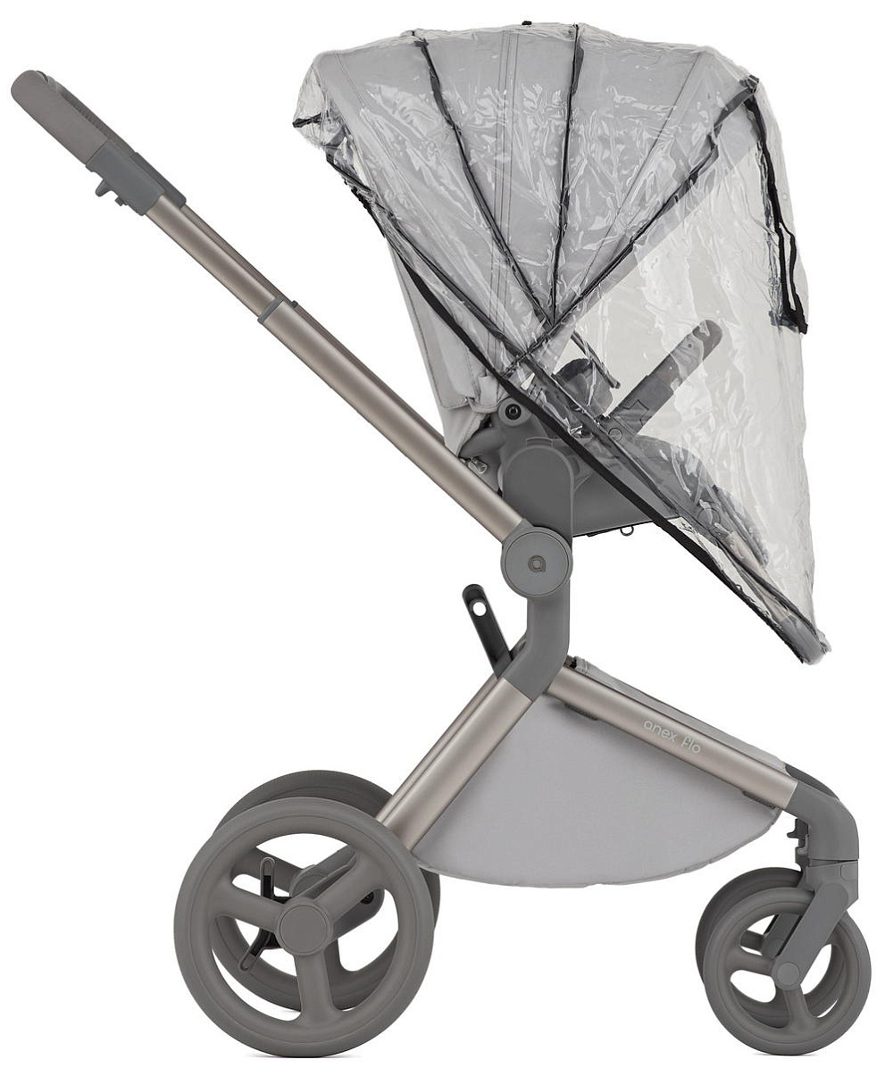 Детская коляска Anex Flo 2 в 1 Frossy