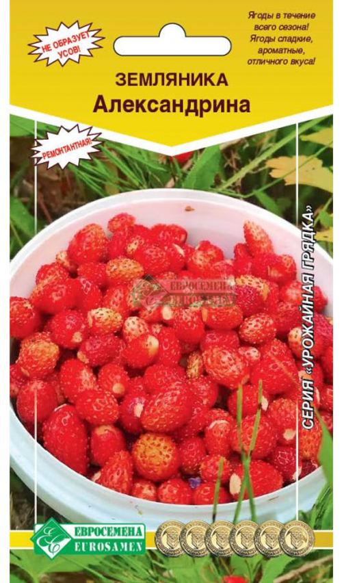 Земляника Александрина (семена)