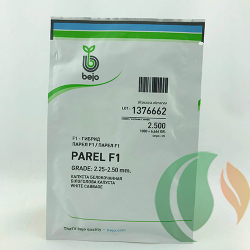 Cемена капусты белокочанной Парел F1