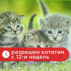 Капли на холку от блох, клещей, вшей и власоедов для котят и кошек до 3 кг Дана Спот-Он (Apicenna), 2 пипетки Фипронил