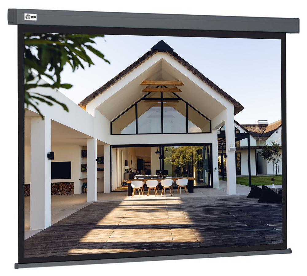 Экран  Cactus CS-PSW-206X274-SG