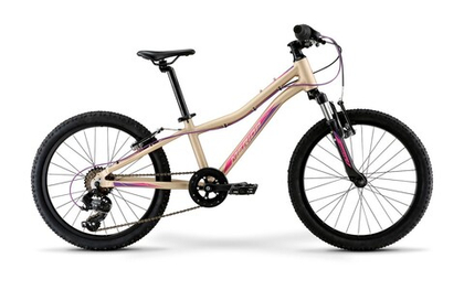 Детский велосипед Merida Matts J.20 Eco (2021)