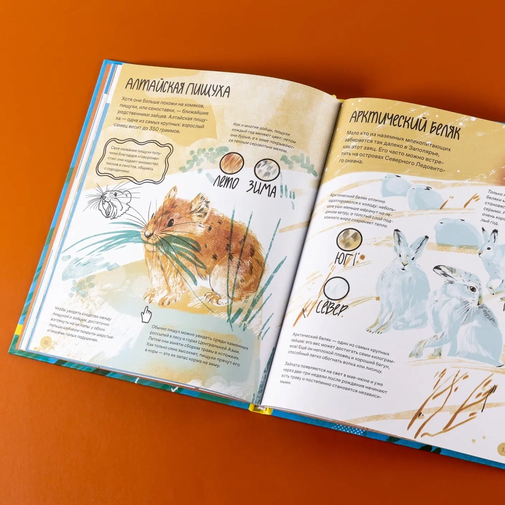 Вот так капибара!