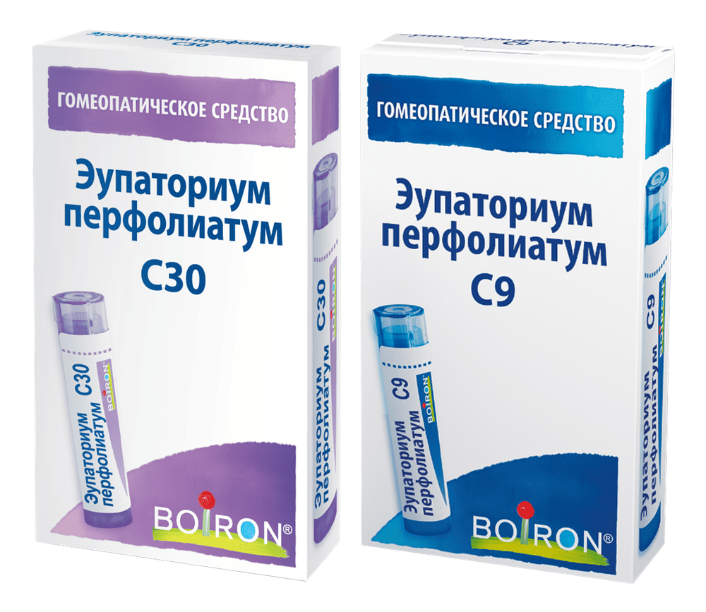 ЭУПАТОРИУМ ПЕРФОЛИАТУМ C9