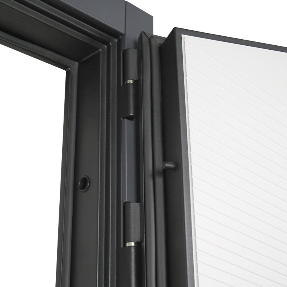 Стальная дверь "Авангард" (биометрический замок)