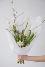 Трепет / ∴ Намёк