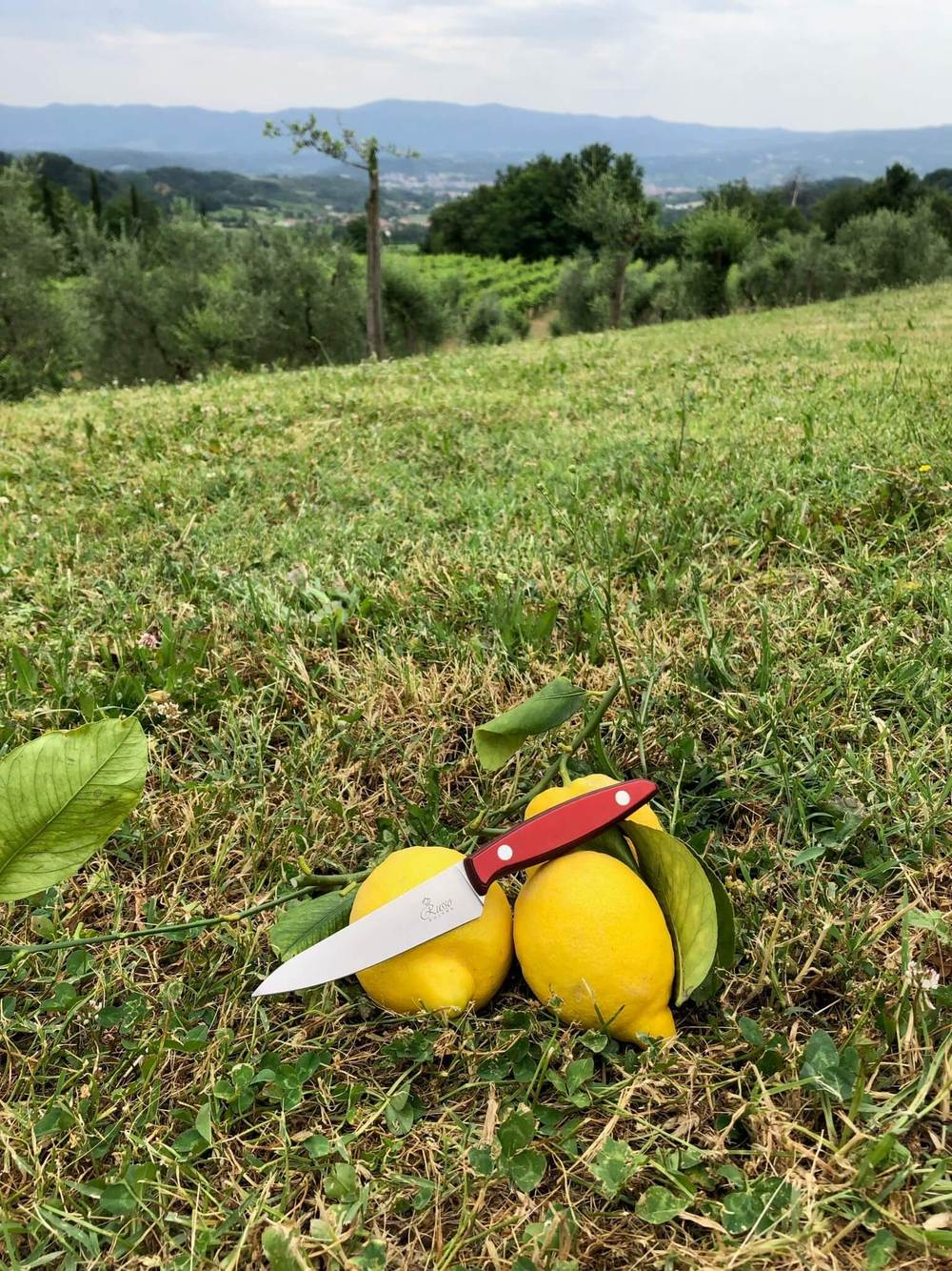 🏆Кухонный нож Alexander S AUS-8 Red G10