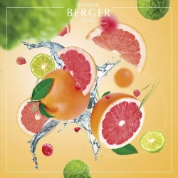 Maison Berger Paris - Набор ароматических ламп J. Adler Mrs + ароматическое масло «Цитрусовая свежесть», 250 мл / артикул   4728  / GTIN 3127290047281