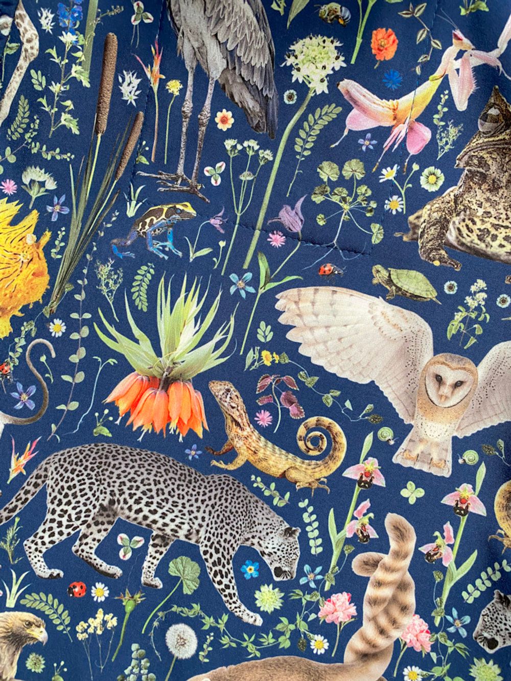 Комбинезон Molo, 86