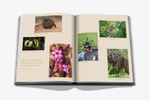 Assouline Книга Londolozi: The Safari that Changed Everything на английском языке