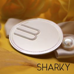 Сувенирная серебряная монета с гравировкой на заказ с лого