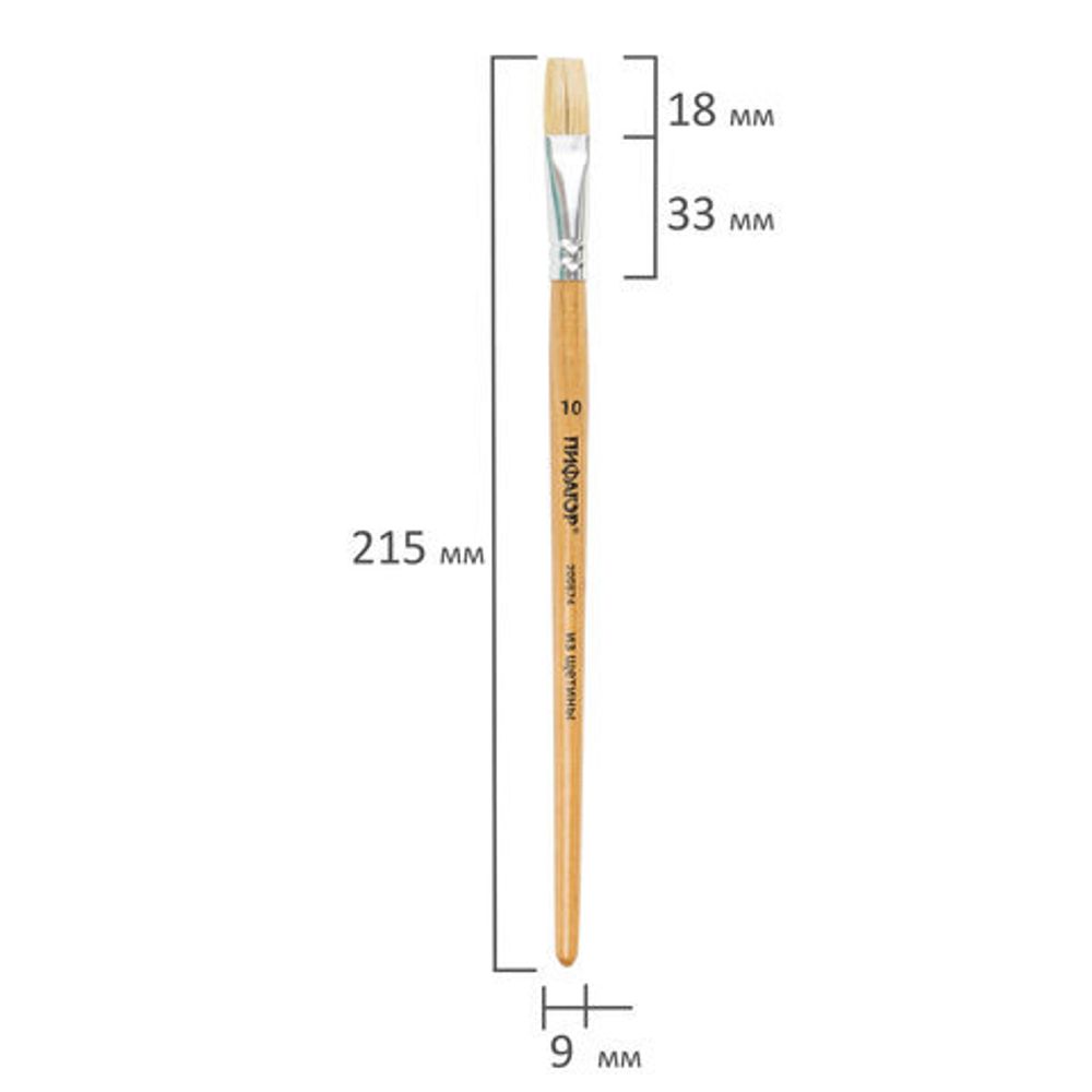 Кисть ПИФАГОР, щетина, плоская, № 10, 200874