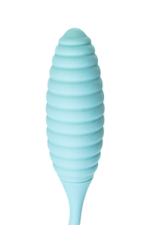 Голубое виброяйцо с вакуум-волновым стимулятором клитора Roow