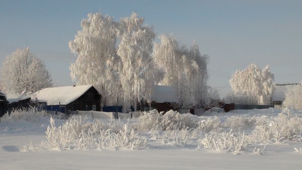 ..... а еще мы крестиком вышиваем