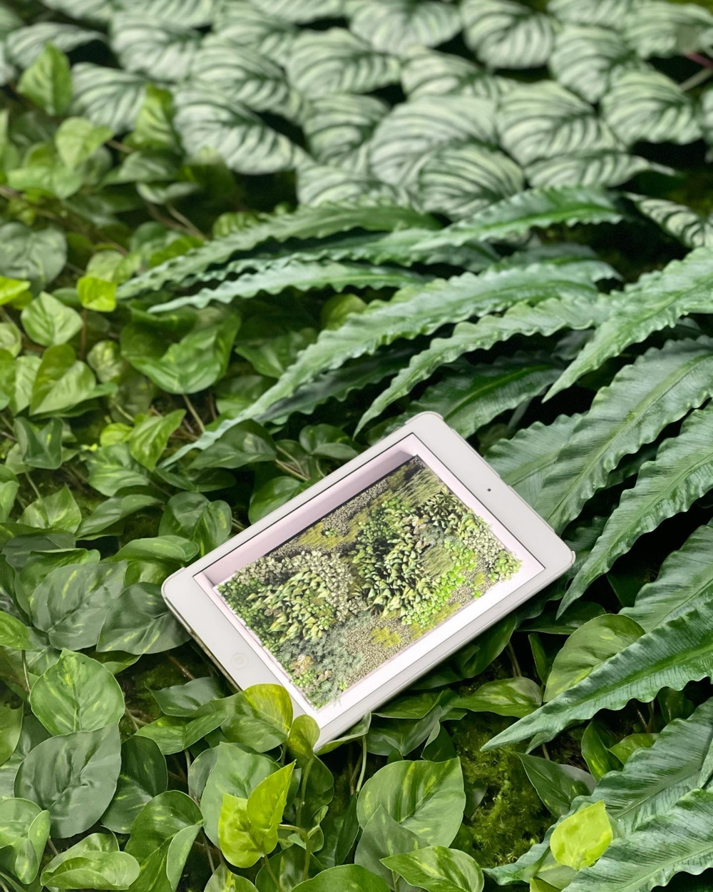 21.02. Вертикальное озеленение искусственными и стабилизированными растениями и мхом.