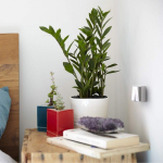 Выключатель двухклавишный Gallant (белый)