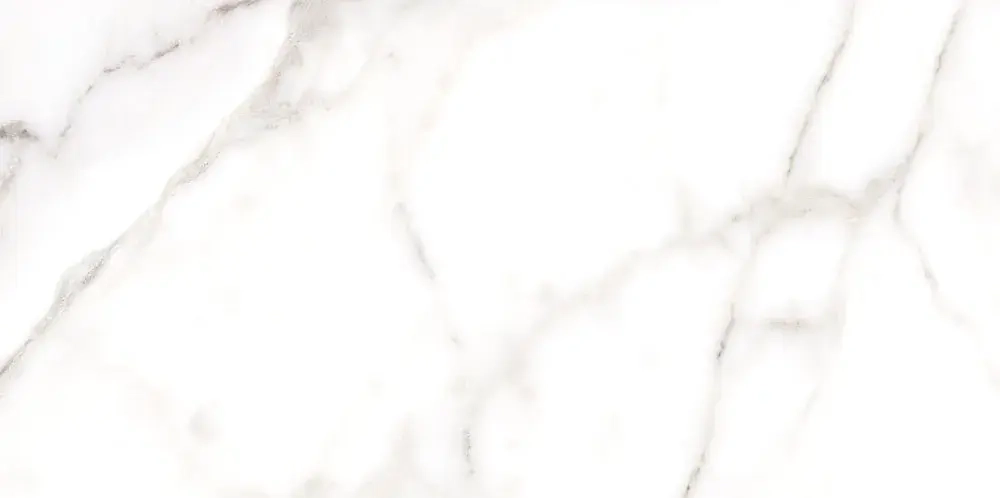 Настенная плитка ALMA Ceramica TWU09GRG007 Grigio 50x24.9 белая глянцевая под камень