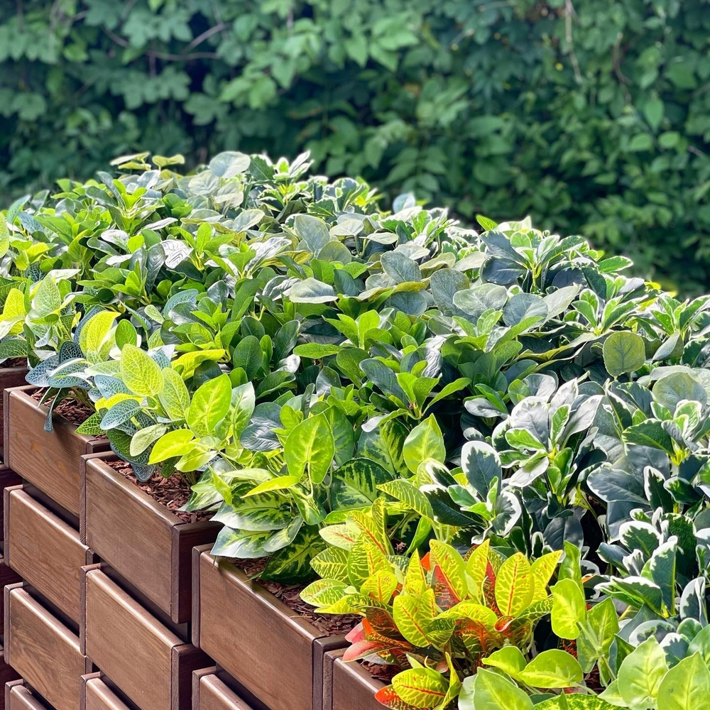 Озеленение искусственными растениями магазина " Морковь"