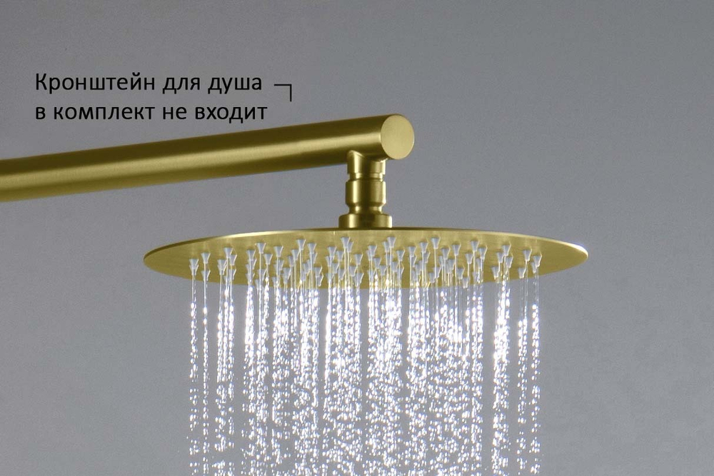 AQ2073BG круглый верхний душ  250*2 мм, шлиф. золото