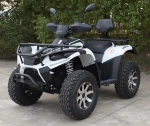 Электроквадроцикл Green Camel Linhai LH40DA (3900W 50 км/ч)
