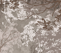 Коллекция VETVE