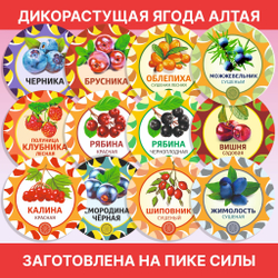 Земляника Алтайская "Лесная" ягода сушеная без сахара, 50 г.