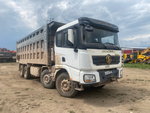 Shacman (Shaanxi) SX* 8x4 Самосвал SX32586T384 (Дизельный, 11,6 л, 423 л.с., МТ)