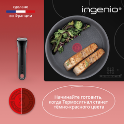 Набор посуды со съемной ручкой Tefal Ingenio Natural Force 3 предмета 22/26 см L3969202